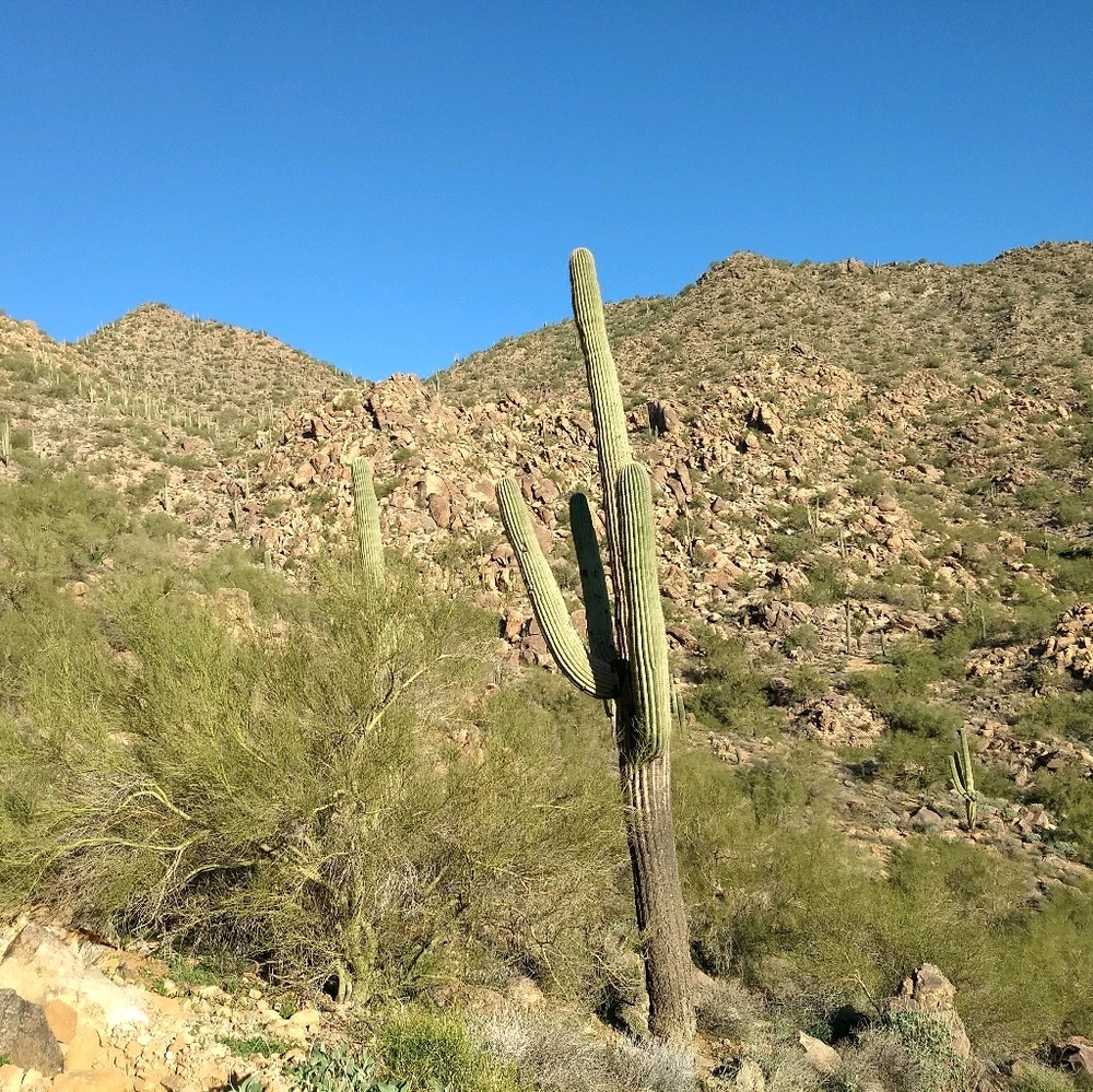 Meet your Posher, Lien